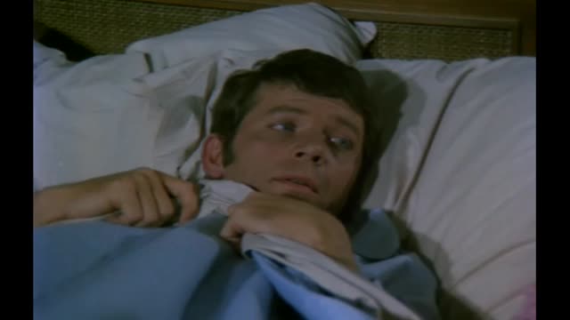 24%2F7_Brady_Bunch-live-stream-channel